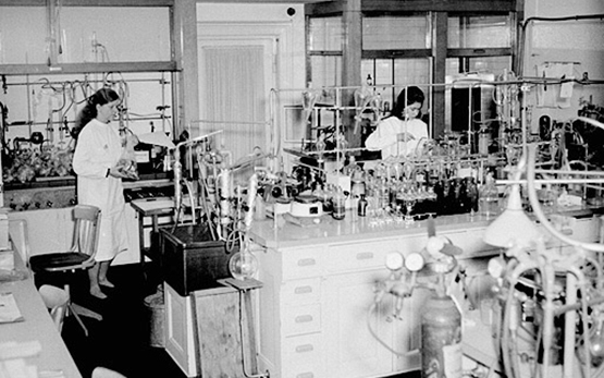 Wädenswil Laboratory 1 1964