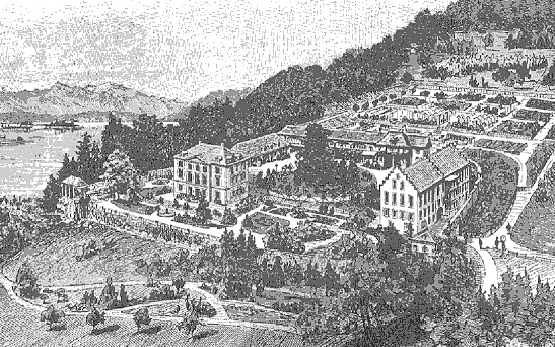 Wädenswil Castle Copperplate Engraving
