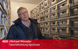 Michael Winzeler Eco Weizen