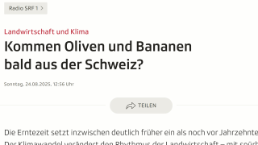 Pierluigi Calanca, SRF1 24.08.2025,  Medienspiegel
