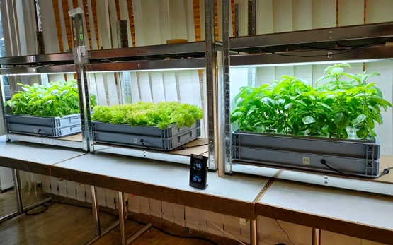 Smart «Home Garden» bei Agroscope