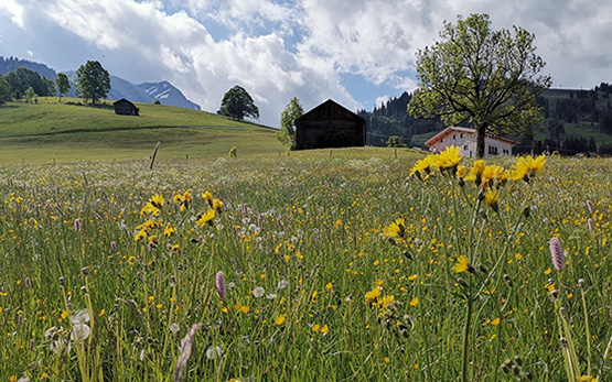 Biodiversität