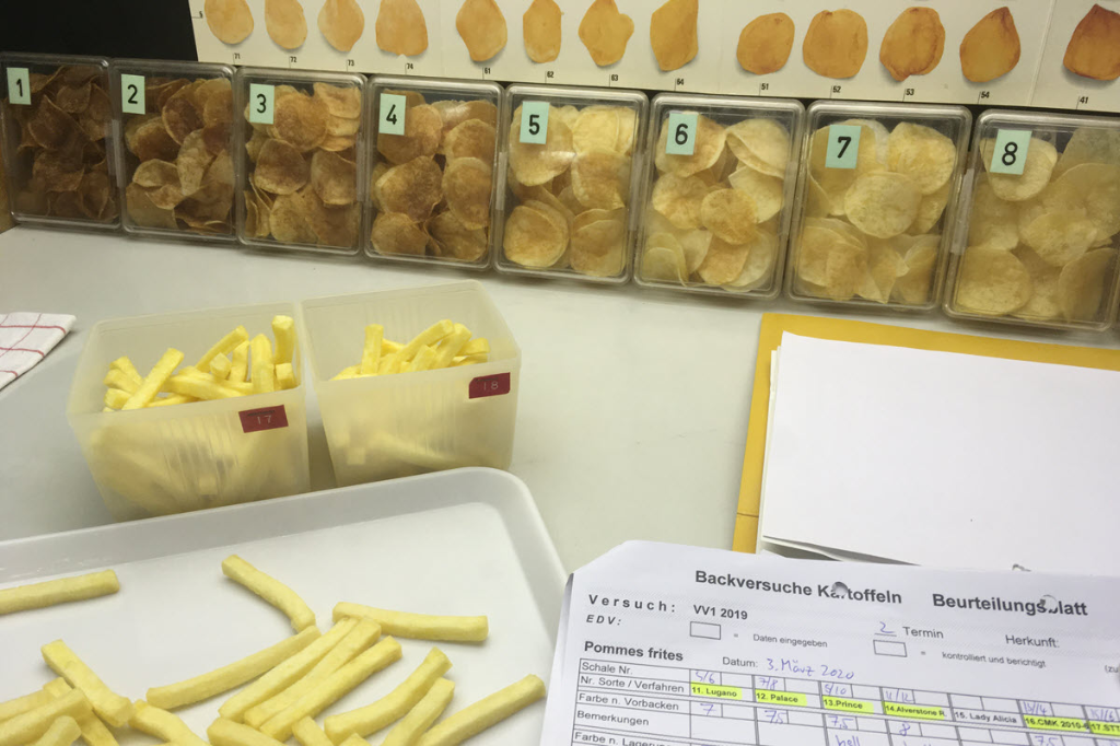 Pommes-Frites aus Frühkartoffeln
