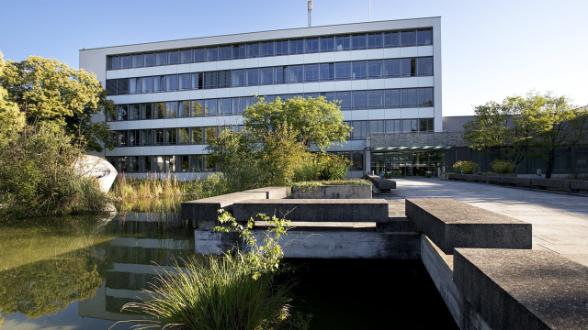 Reckenholz