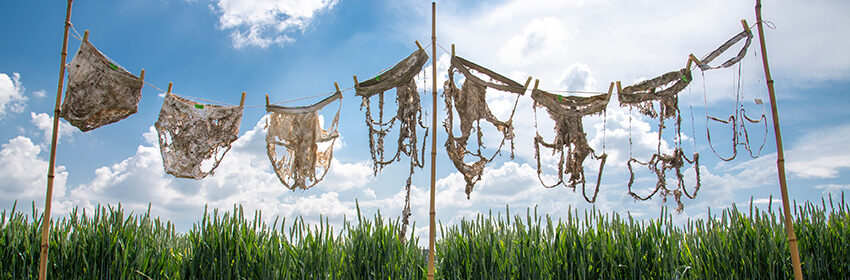 Das biologische Potential der Böden schützen und nutzen