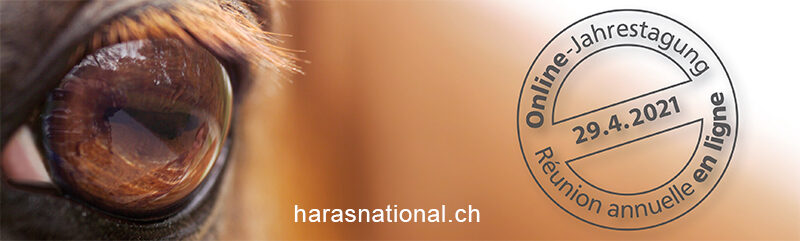 16. Jahrestagung Netzwerk Pferdeforschung Schweiz - Online