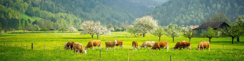 48. Agrarökonomie-Tagung Agroscope