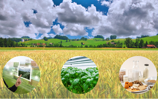 14. Ökobilanz-Plattform Landwirtschaft Agroscope