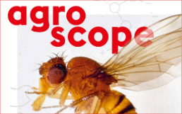 Magazin «agroscope» September 2020