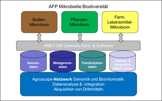 Mikrobielle Biodiversitaet ANET Grafik