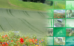 Indicate Biodiversität