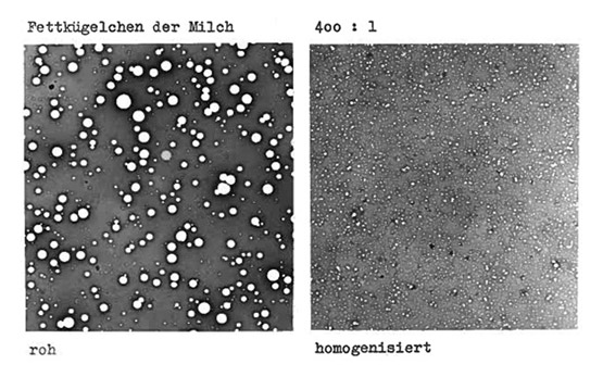 Homogenisierung