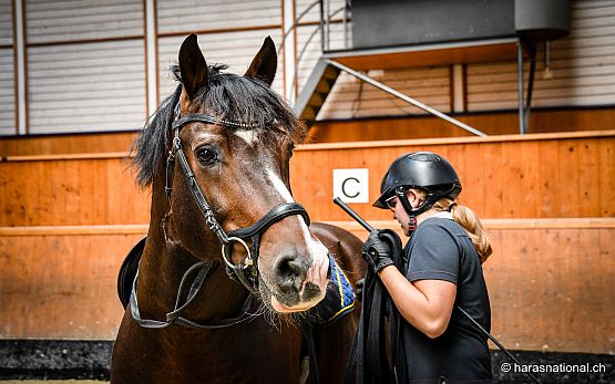Berufslehre Pferdefachfrau EFZ