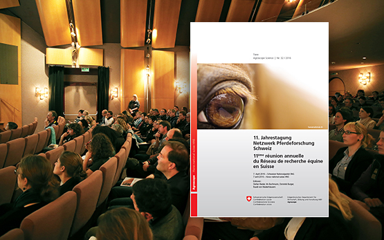 11. Jahrestagung Netzwerkforschung Schweiz