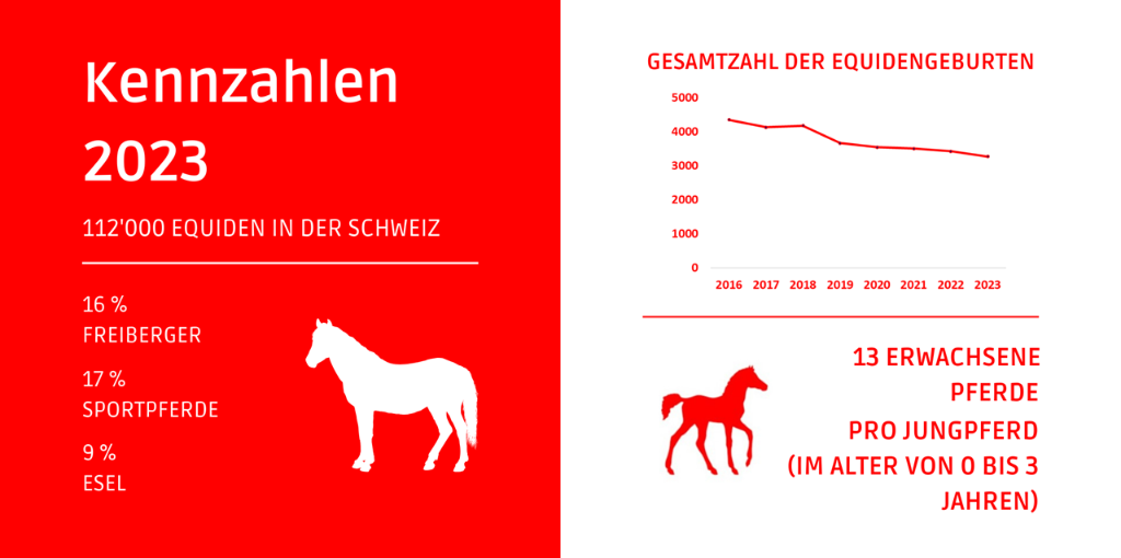 Infographie