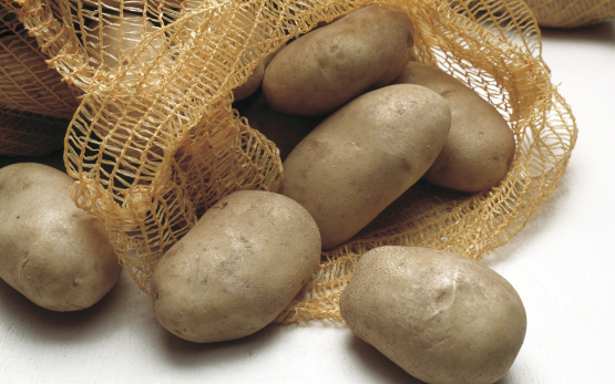 kartoffeln_Sortenprueung