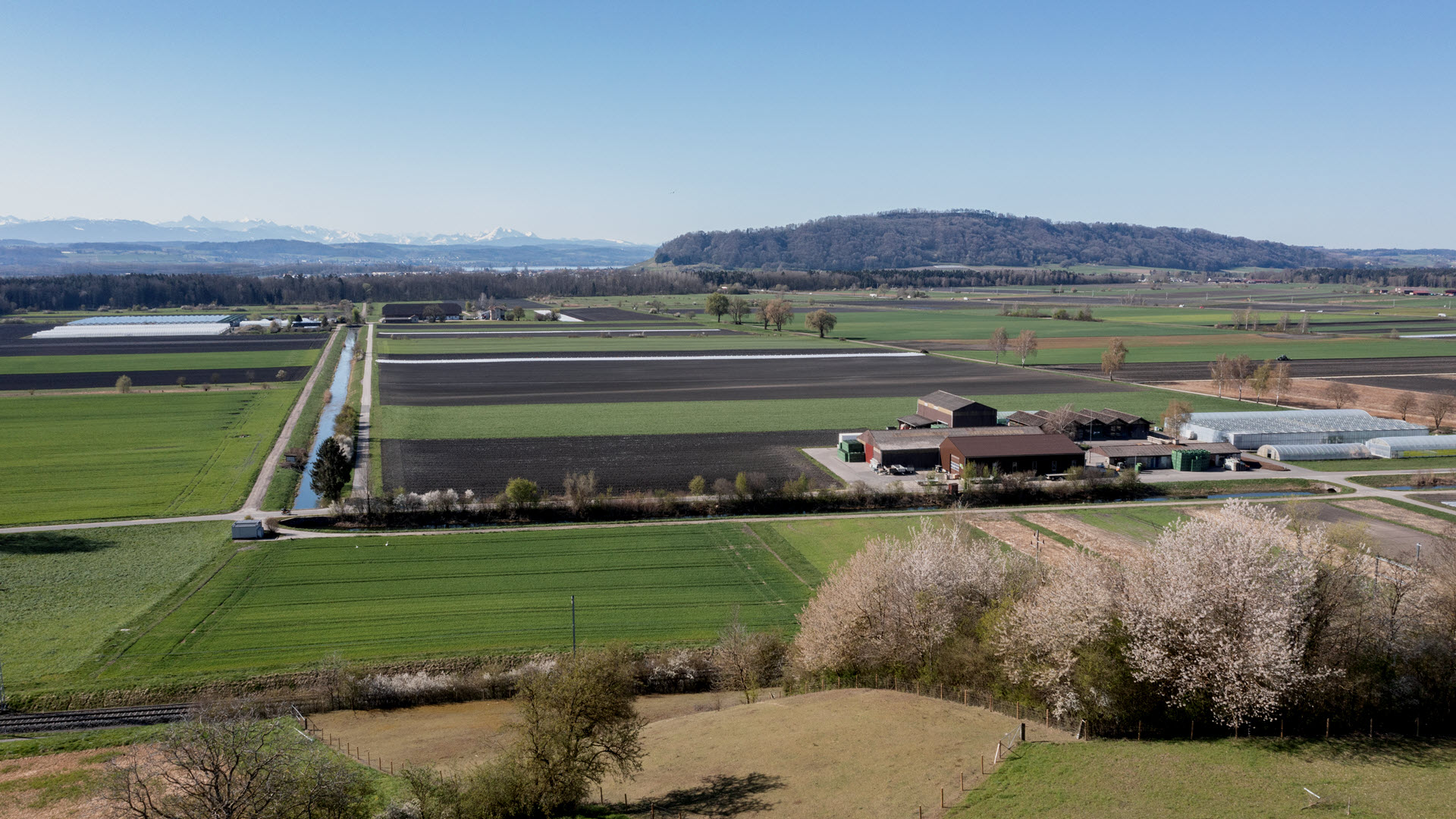 Gemüse, Gemüsebau, Versuchsstation, Ins