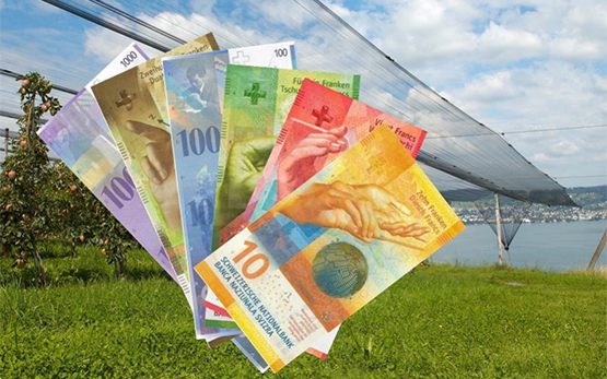 Obstbau Betriebswirtschaft Geldnoten Apfel