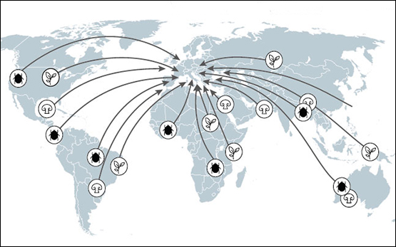 neobiontes_mappemonde