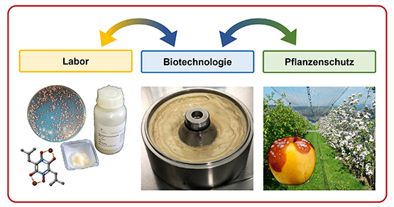 ProMet Rückkopplungsschlaufen: Labor - Biotechnologie - Pflanzenschutz