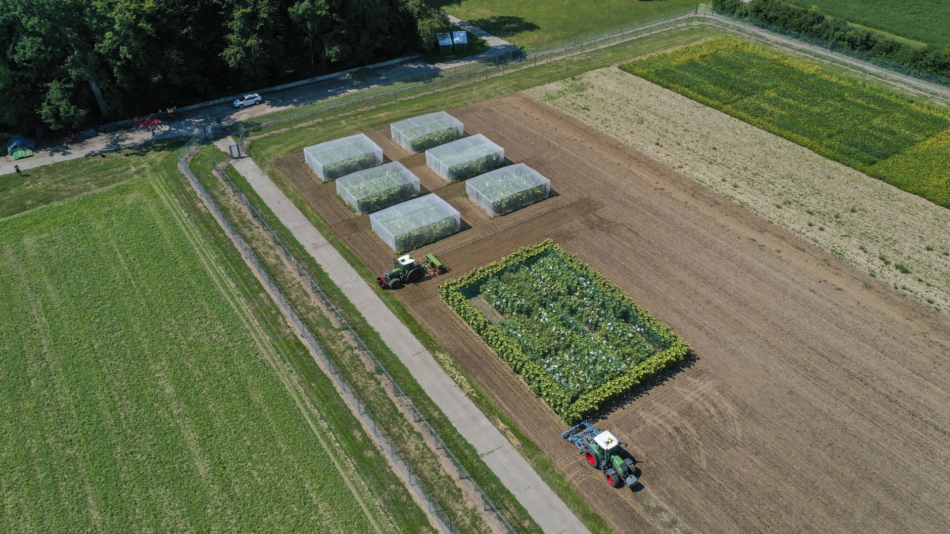 Protected Site, Protectedsite, Luftaufnahme Reckenholz