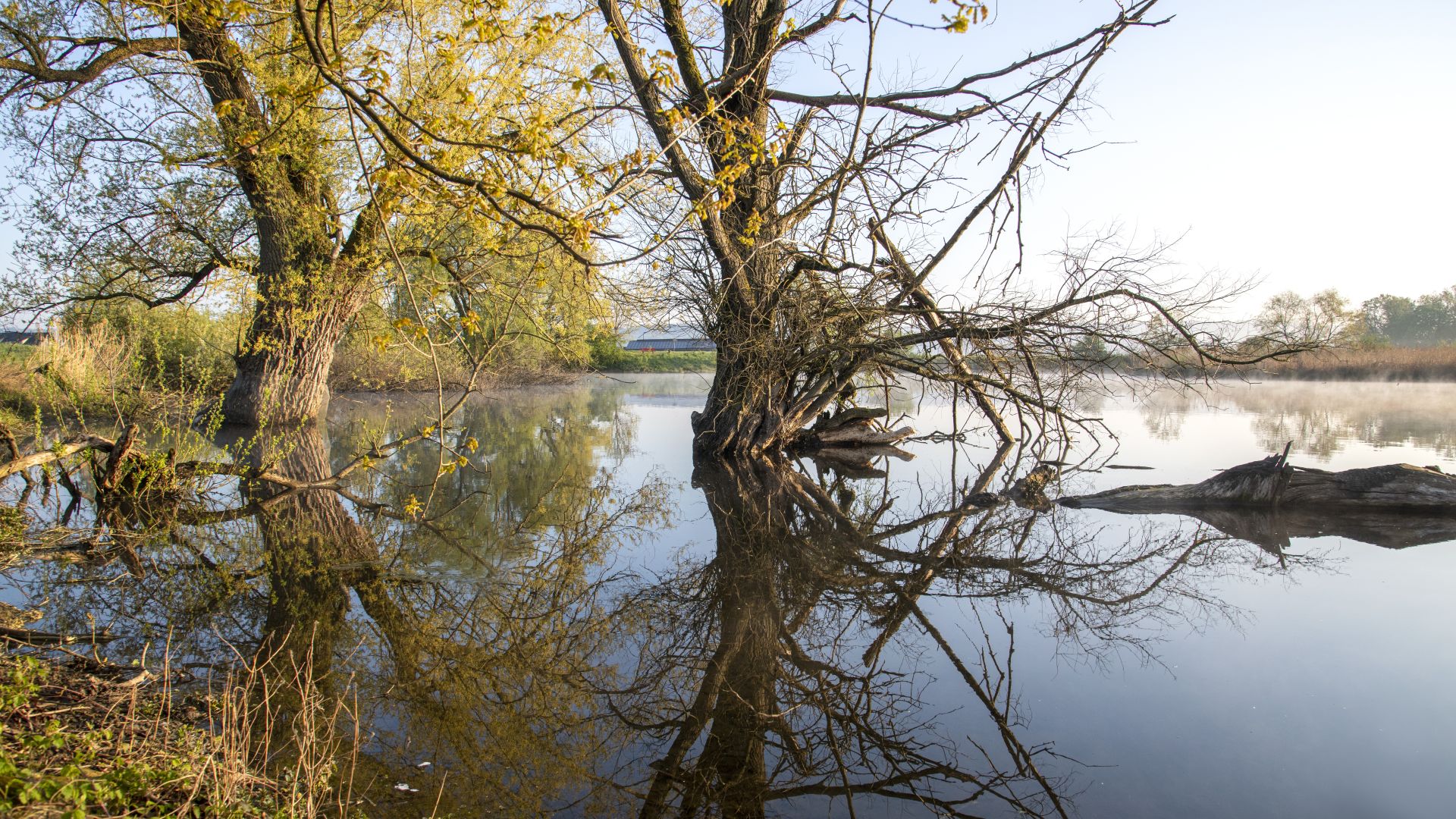 Gewässerschutz, Gewässer, WEiher, Weinland ZH