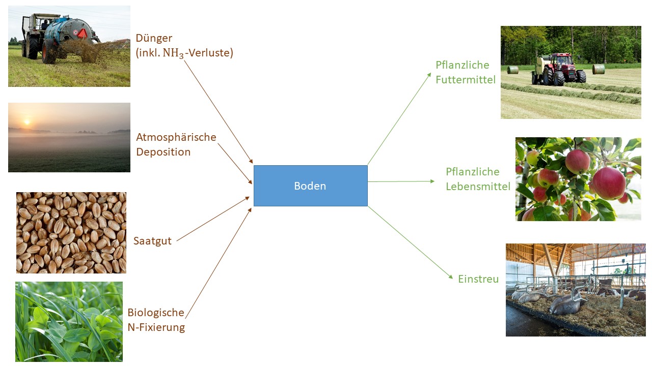 N-Bilanz, Grafik, Boden