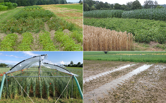 Essais de longue durée