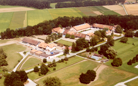 Avenches Zeitgenössiche Luftansicht des Gestüts mit Pferdeklinik