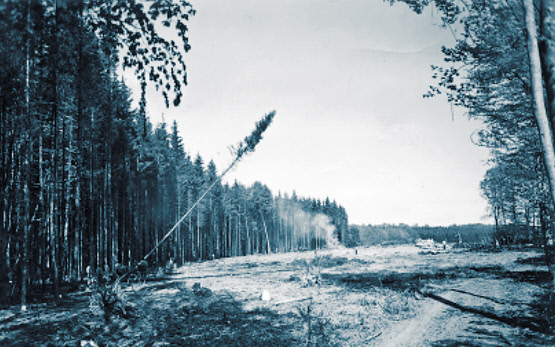 Reckenholz historisch Anbauschlacht Waldrodung