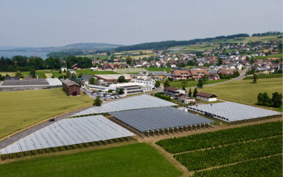 agri-pv_conthey_insolight