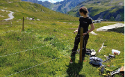 Pflanzenvielfalt auf Alpweiden