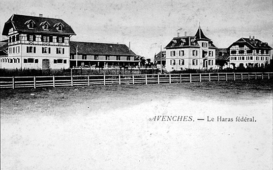 Avenches: Postcard of the Swiss National Stud Farm in the 1930s