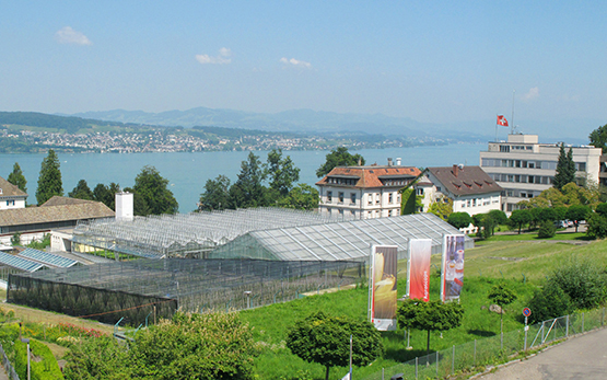 Location Wädenswil
