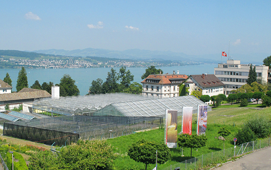 Location Wädenswil