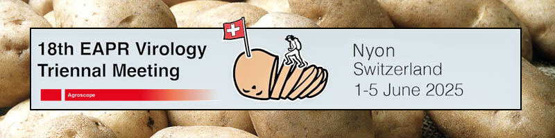 Control of potato viruses, phytoplasmas and their vectors in the face of climate change