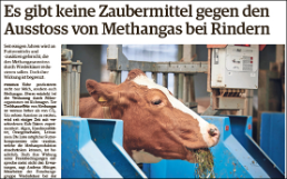 Freiburger Nachrichten: Es gibt keine Zaubermittel gegen den Ausstoss von Methangas bei Rindern