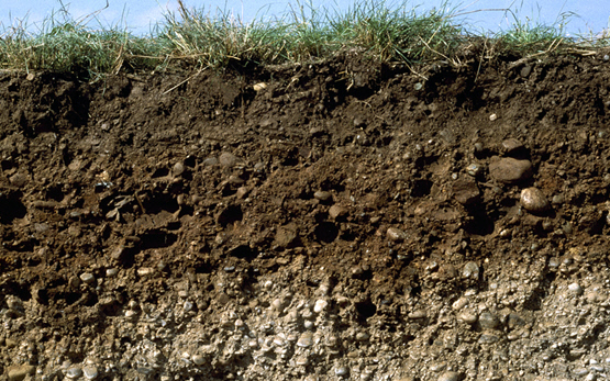 Soil-Monitoring