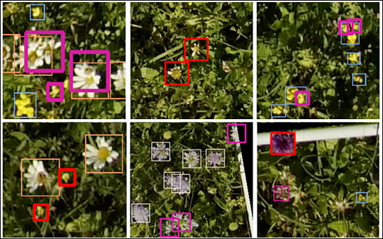 Flowermapping Drohne