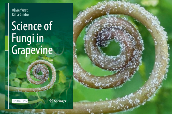 Science of Fungi in Grapevine: das neue Open-Access-Buch