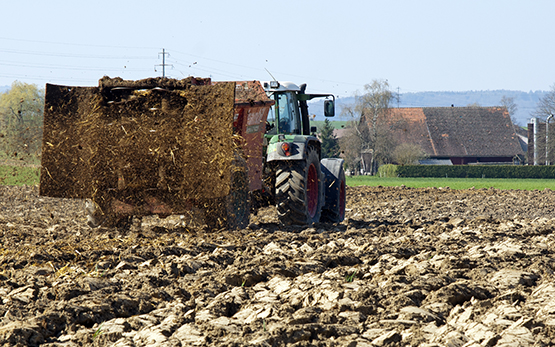 Duengung Traktor Mist GRUD