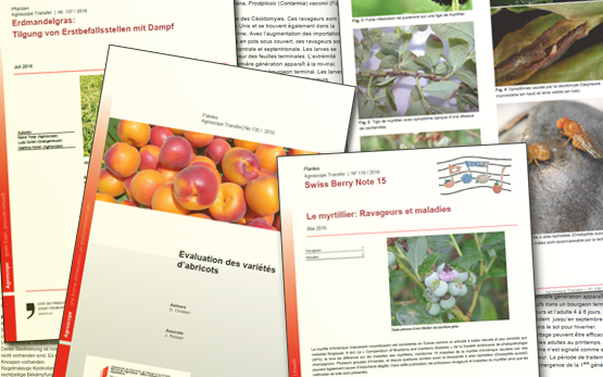 Publication Series Agroscope Transfer