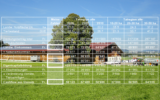 Farm Accountancy Data Network for Switzerland