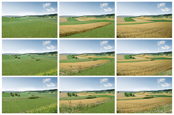 LandschaftenCH_kaur-