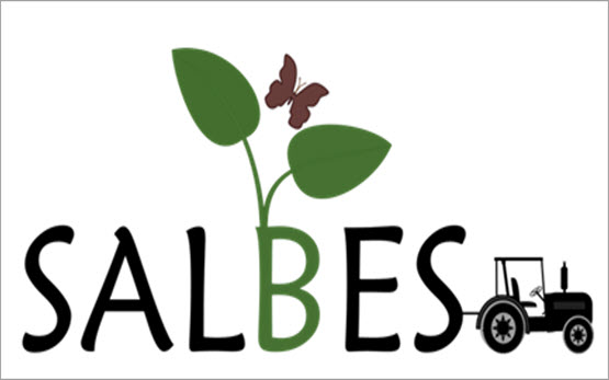 salbes