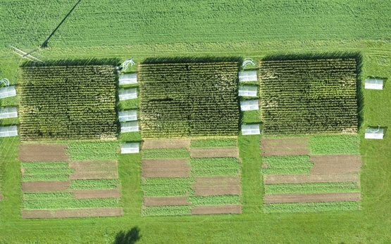 Aerial Photo Farming System and Tillage Experiment