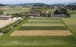 Aerial Photo Oberacker Long-Term Field Trial