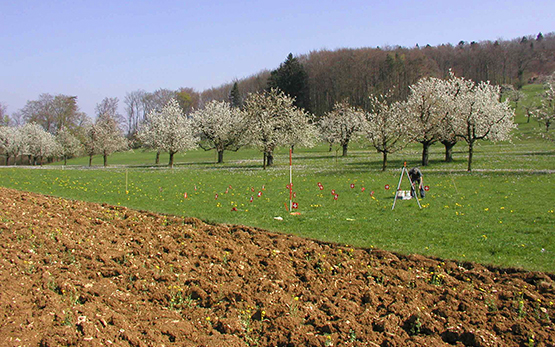 Swiss Soil Monitoring Network (NABO)