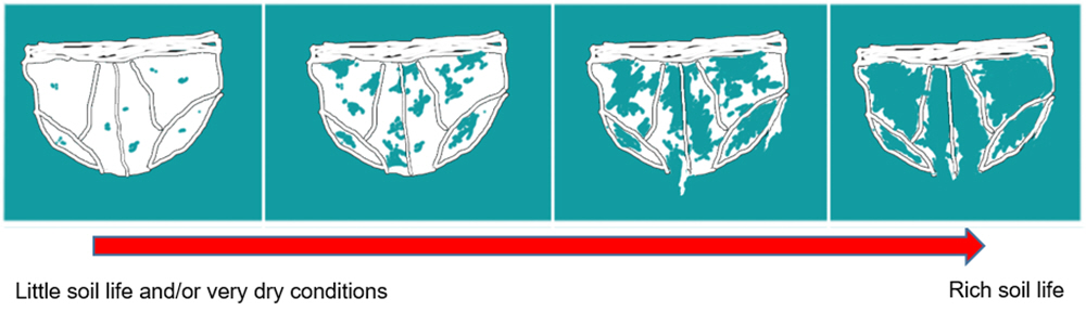 Proof by Underpants scale graphic