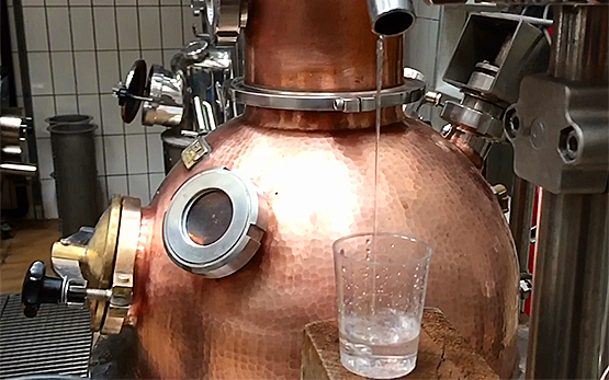 destillate-brennerei-schnapsglas